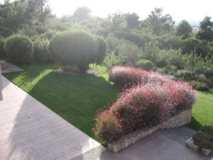 progettazione finale giardino sassari